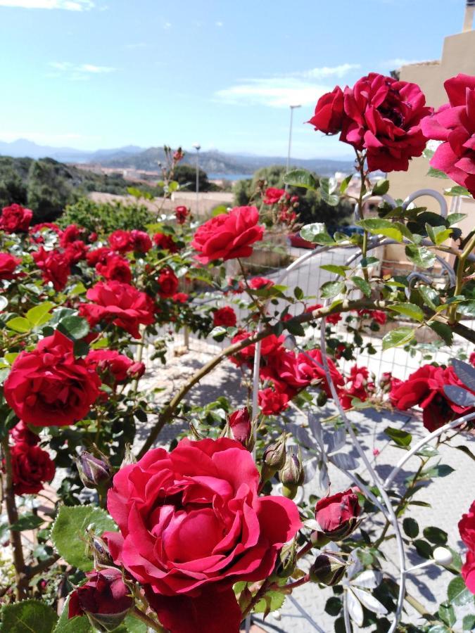 The Roses Garden Bed & Breakfast La Maddalena  Exterior photo