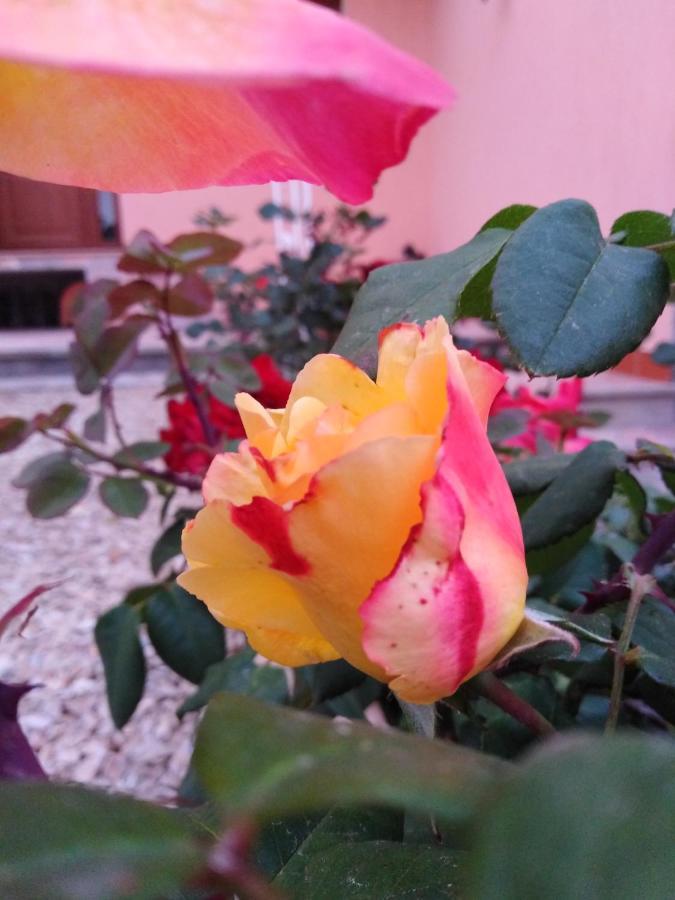 The Roses Garden Bed & Breakfast La Maddalena  Exterior photo