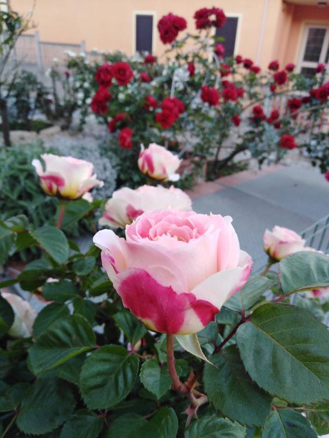 The Roses Garden Bed & Breakfast La Maddalena  Exterior photo