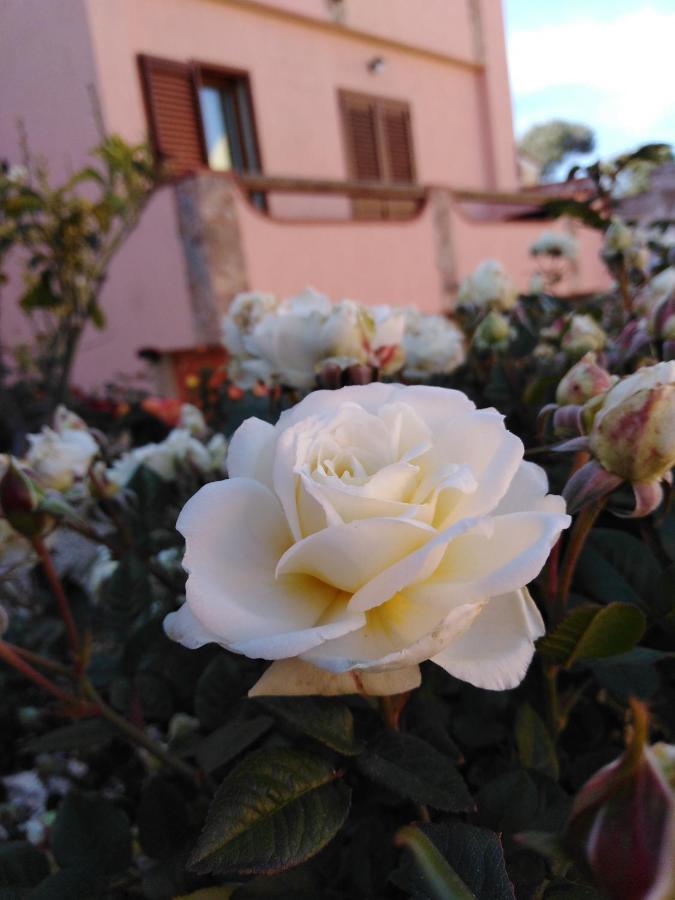 The Roses Garden Bed & Breakfast La Maddalena  Exterior photo