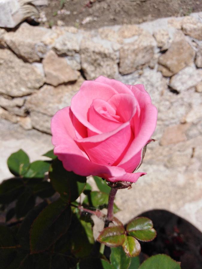 The Roses Garden Bed & Breakfast La Maddalena  Exterior photo