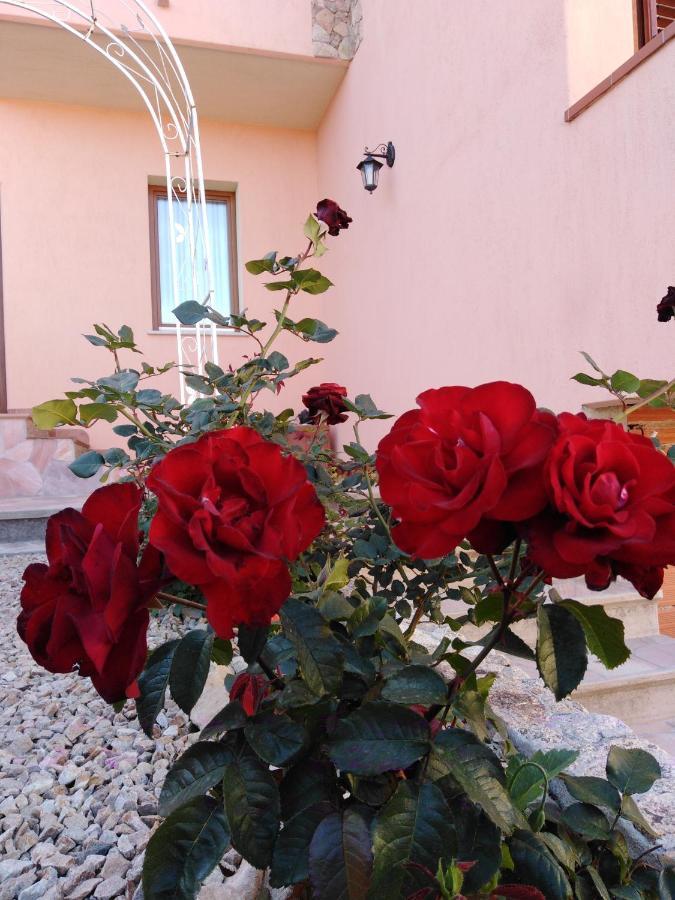 The Roses Garden Bed & Breakfast La Maddalena  Exterior photo